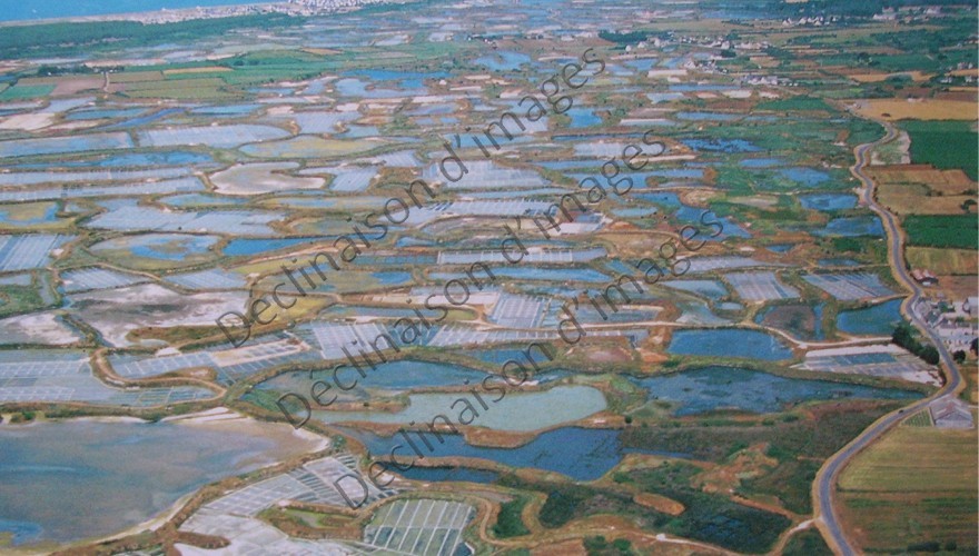 LES MARAIS SALANTS DE GUERANDE